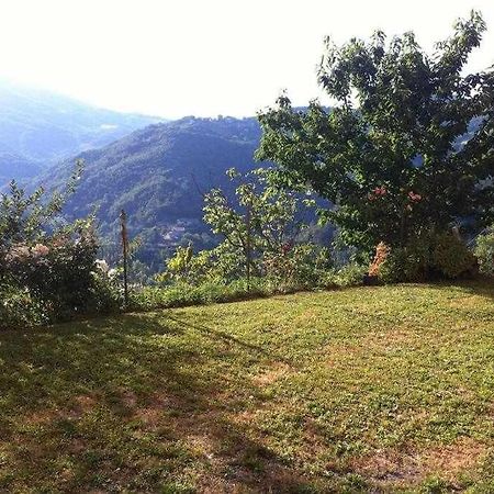 Ospitaci Appartamenti Di Campagna Le Rancole Valtopina Exterior photo